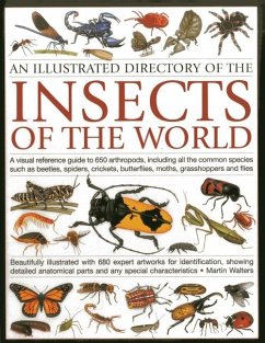 An Illustrated Directory of the Insects of the World - Walters, Martin