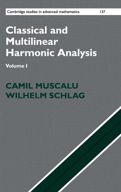 Classical and Multilinear Harmonic Analysis - Muscalu, Camil; Schlag, Wilhelm