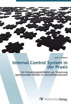 Internal Control System in der Praxis - Helbeck, Julia C.