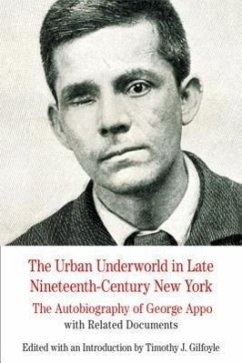 The Urban Underworld in Late Nineteenth-Century New York - Gilfoyle, Timothy