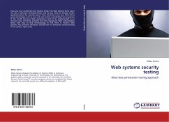 Web systems security testing