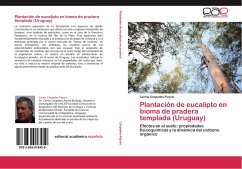 Plantación de eucalipto en bioma de pradera templada (Uruguay) - Céspedes-Payret, Carlos