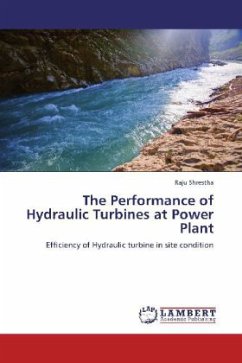 The Performance of Hydraulic Turbines at Power Plant