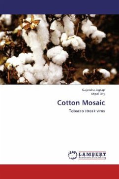 Cotton Mosaic