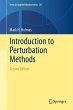 Introduction to Perturbation Methods - Bild 1