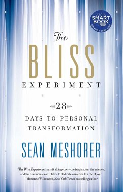 The Bliss Experiment - Meshorer, Sean