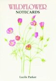 Wildflower Notecards Wildflower Notecards