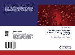 Biodegradable Nano-Clusters as drug delivery vehicles