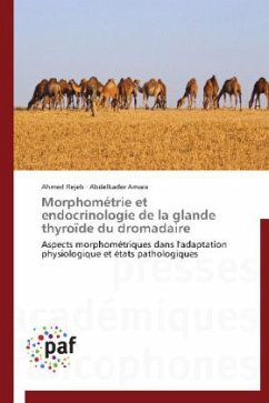 Morphométrie et endocrinologie de la glande thyroïde du dromadaire - Rejeb, Ahmed;Amara, Abdelkader