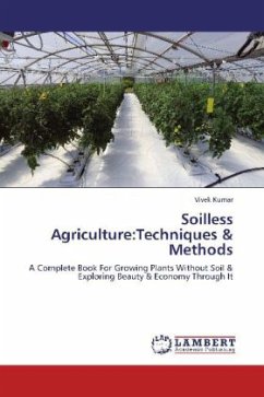 Soilless Agriculture:Techniques & Methods