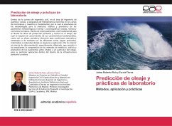 Predicción de oleaje y prácticas de laboratorio - Ruiz y Zurvia Flores, Jaime Roberto