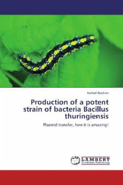 Production of a potent strain of bacteria Bacillus thuringiensis