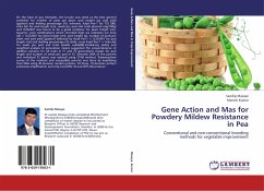 Gene Action and Mas for Powdery Mildew Resistance in Pea - Masaye, Sandip;Kumar, Manish