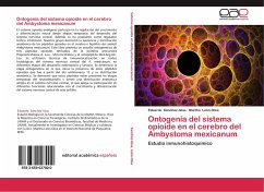 Ontogenia del sistema opioide en el cerebro del Ambystoma mexicanum - Sánchez-Islas, Eduardo;León-Olea, Martha