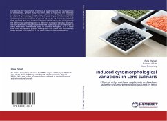 Induced cytomorphological variations in Lens culinaris - Haneef, Irfana;Aslam, Rumana;Choudhary, Sana