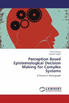 Perception Based Epistemological Decision Making for Complex Systems