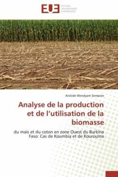 Analyse de la production et de l¿utilisation de la biomasse - Sempore, Aristide Wendyam