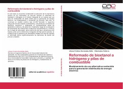 Reformado de bioetanol a hidrógeno y pilas de combustible - Hernández Bello, Liliana Cristina;Kafarov, Viatcheslav
