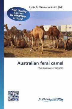 Australian feral camel