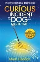 The Curious Incident of the Dog In the Night-time - Haddon, Mark