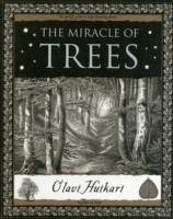 The Miracle of Trees - Huikari, Olavi