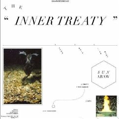 Inner Treaty - Sun Araw