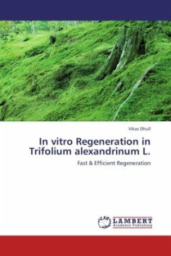 In vitro Regeneration in Trifolium alexandrinum L.