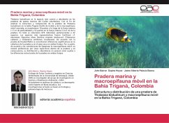 Pradera marina y macroepifauna móvil en la Bahía Triganá, Colombia - Ospina Hoyos, John Bairon;Palacio Baena, Jaime Alberto