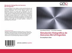 Simulación Holográfica de Axicones Birrefringentes