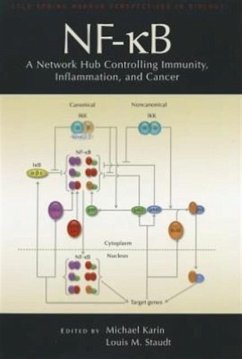 Nf-Kb, a Network Hub Controlling Immunity, Inflammation, and Cancer - Karin, Michael
