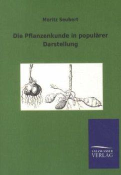 Die Pflanzenkunde in populärer Darstellung - Seubert, Moritz