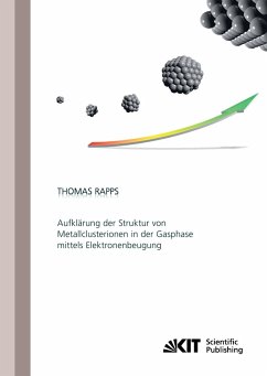 Aufklärung der Struktur von Metallclusterionen in der Gasphase mittels Elektronenbeugung - Rapps, Thomas Peter Fabian