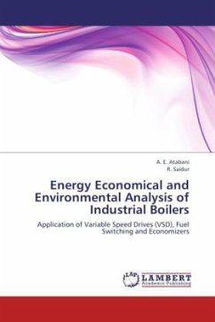 Energy Economical and Environmental Analysis of Industrial Boilers