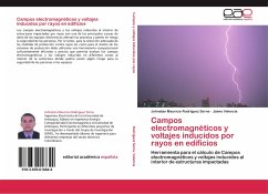 Campos electromagnéticos y voltajes inducidos por rayos en edificios - Rodríguez Serna, Johnatan Mauricio;Valencia, Jaime