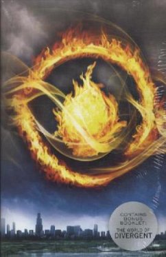 Cover Divergent Series Box Set, 2 Vols.