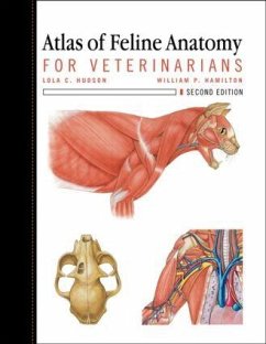 Atlas of Feline Anatomy for Veterinarians - Hudson, Lola; Hamilton, William