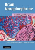 Brain Norepinephrine