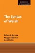 The Syntax of Welsh - Bild 1