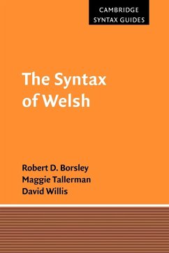 The Syntax of Welsh - Borsley, Robert D.; Tallerman, Maggie; Willis, David