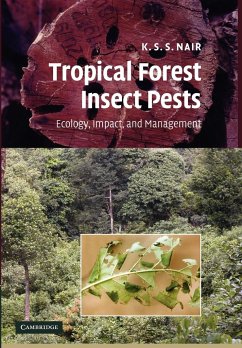 Tropical Forest Insect Pests - Nair, K. S. S.