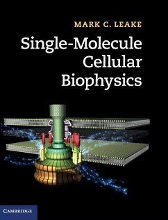 Single-Molecule Cellular Biophysics - Leake, Mark C.