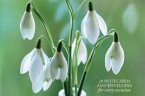 Card Box of 20 Notecards and Envelopes: Snowdrop: A Delightful Pack of 20 High-Quality Flower Gift Cards and Decorative Envelopes