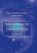 From Luminous Hot Stars to Starburst... - Bild 1
