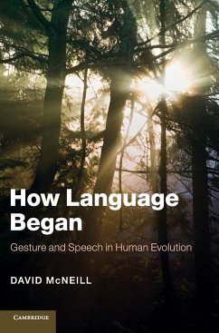 How Language Began - Mcneill, David