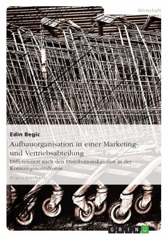 Aufbauorganisation in einer Marketing- und Vertriebsabteilung - Begic, Edin