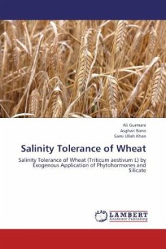 Salinity Tolerance of Wheat