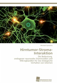 Hirntumor-Stroma-Interaktion - Synowitz, Michael