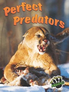 Perfect Predators - Mattern, Joanne