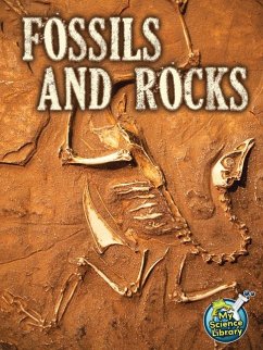 Fossils and Rocks - Hutmacher