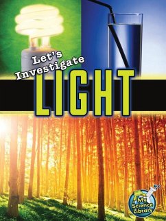 Let's Investigate Light - Silverman